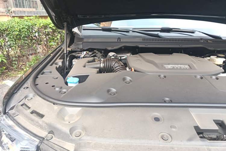 Used Tank 500 New Energy 2026 Model—Hi4-T Smart Enjoyment Version
