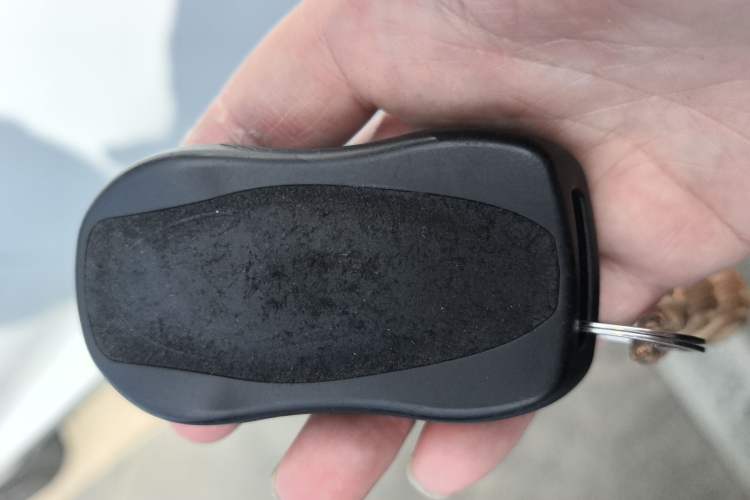 Used Geely Auto Monjaro 2019 300T YAOXINGZHE