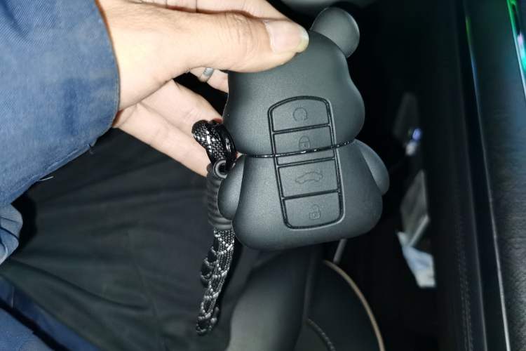 Used Chery Tiggo 9 2023 2.0T Dual-Clutch Two-Wheel Drive Luxury Edition 5 Seats
