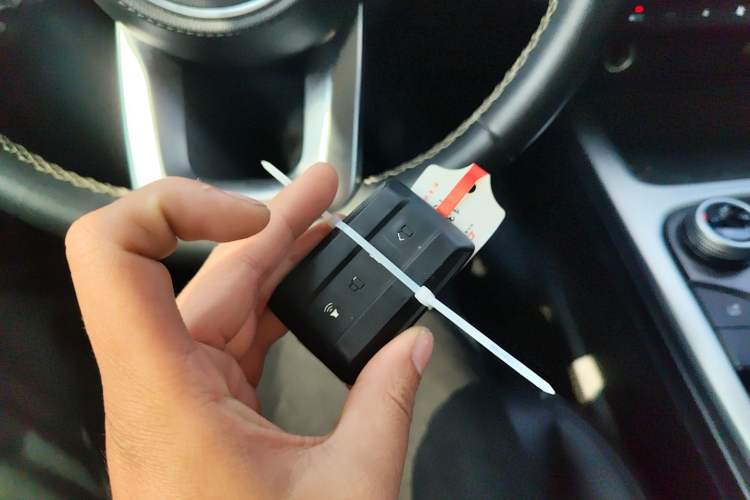 Used Tank 300 2024 2.0T Challenger