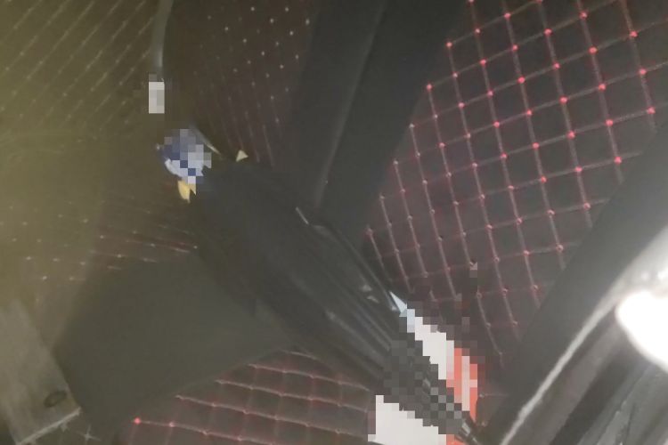 Used Wuling Hongguang MINIEV 2021 Macaron Premium Model – Lithium Iron Phosphate Left Rear Seat