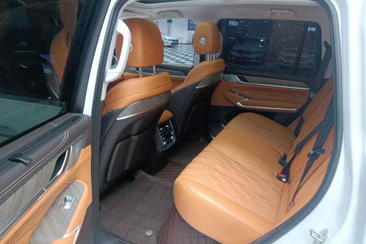 Used Tank 500 New Energy 2024 Hi4-T Left Rear Seat