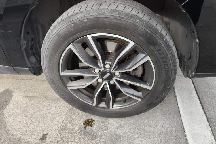 Used Wey VV5 2021 1.5T Two-Wheel Drive Color Pioneer