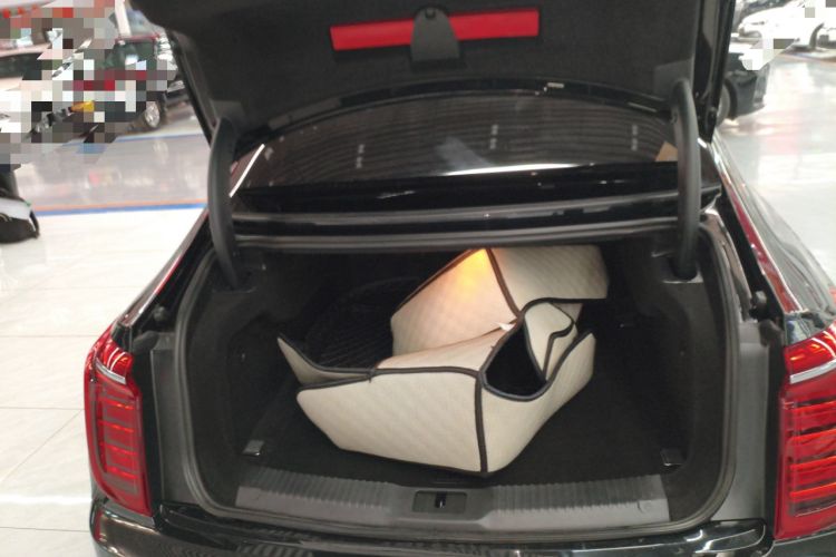 Used Hongqi H9 2022 2.0T Smart Connect Flagship Edition