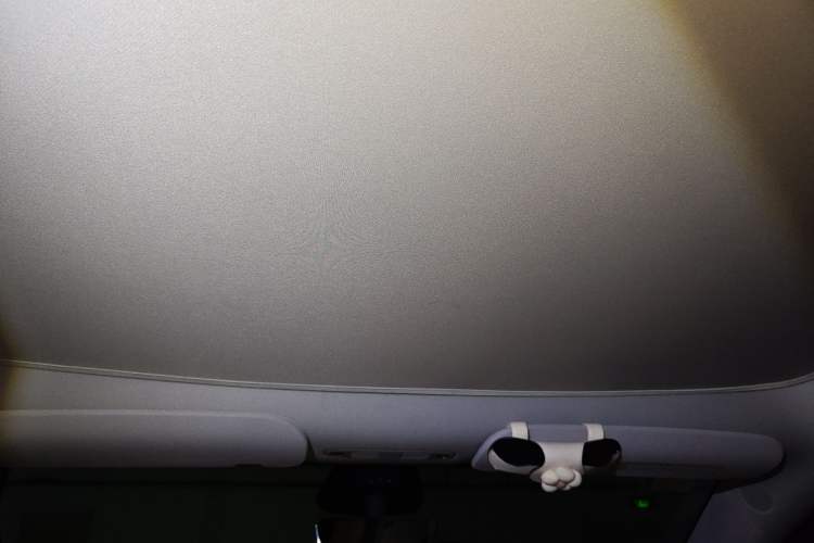 Used Tesla Model Y 2024 Rear-Wheel-Drive Version Headliner