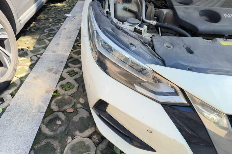 Used Nissan Sylphy 2020 1.6L XL CVT Enjoyment Edition