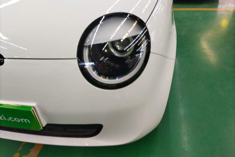 Used Qiyuan Lumin 2023 205km Xiangqin Version