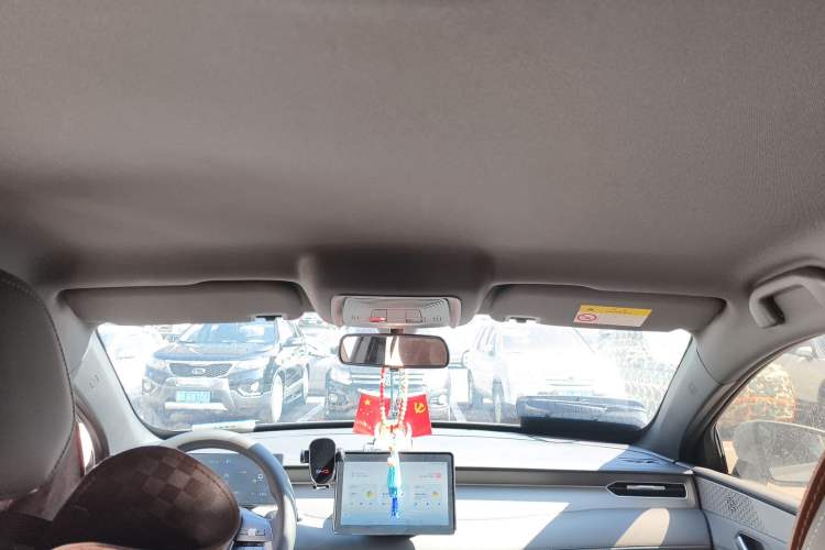 Used BYD Qin PLUS  Headliner