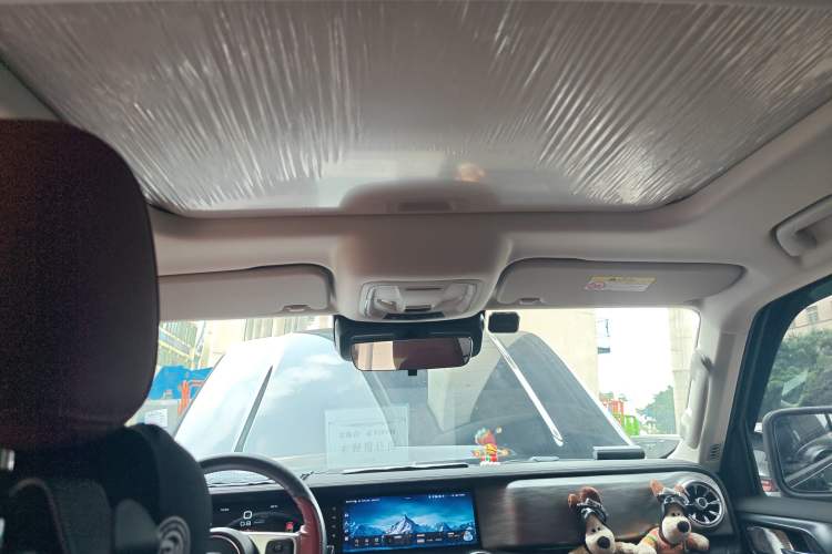 Used Tank 300 2024 2.0T Conqueror Headliner