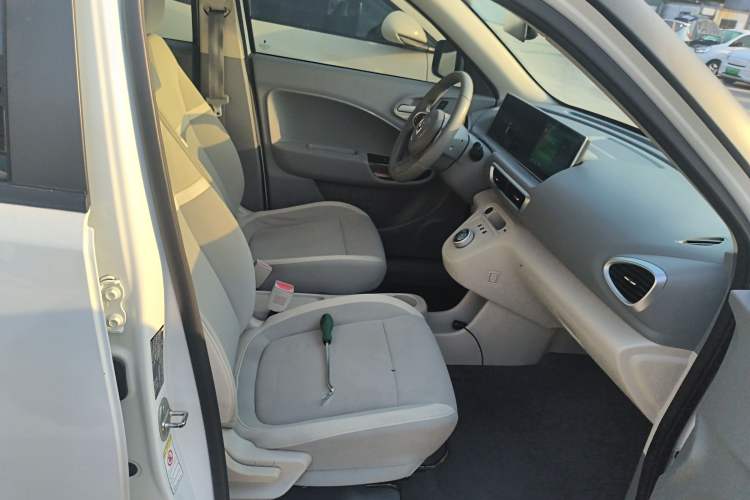 Used ORA White Cat 2020 360 km Luxury Version Right Front Seat