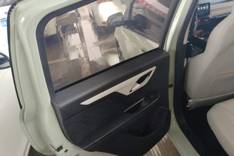 Used SOL E10X 2022 Flower Fairy Design Four-Leaf Clover