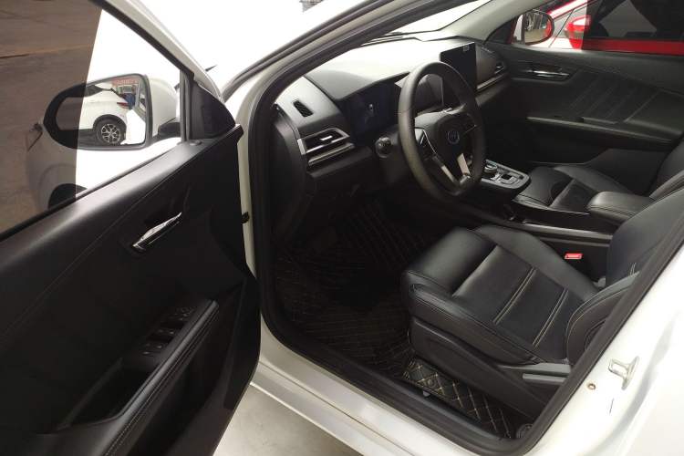 Used BYD e2 2019 Long-Range Version Yao·Luxury Trim
