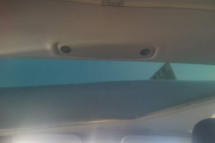 Used Tesla Model 3 2022 Rear-Wheel-Drive Version Headliner