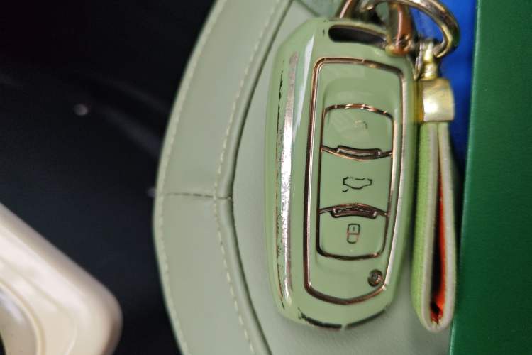 Used Geely Galaxy Panda 2024 200km Panda Rider
