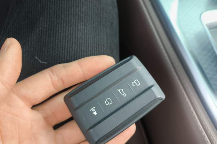 Used Tank 700 New Energy 2024 Hi4-T Extreme Edition
