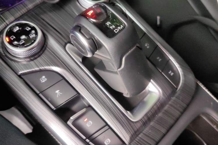 Used Tank 300 2021 2.0T Wind & Forest Iron Rider