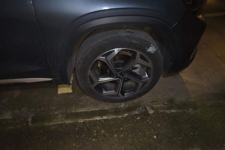 Used Geely Auto Monjaro L 2023 2.0TD High-Power Automatic Two-Wheel Drive Flagship Version
