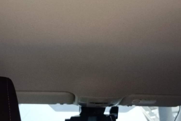 Used Toyota Corolla 2021 1.2T S-CVT Pioneer PLUS Edition Headliner