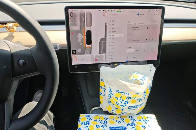 Used Tesla Model Y 2022 Rear-Wheel-Drive Version
