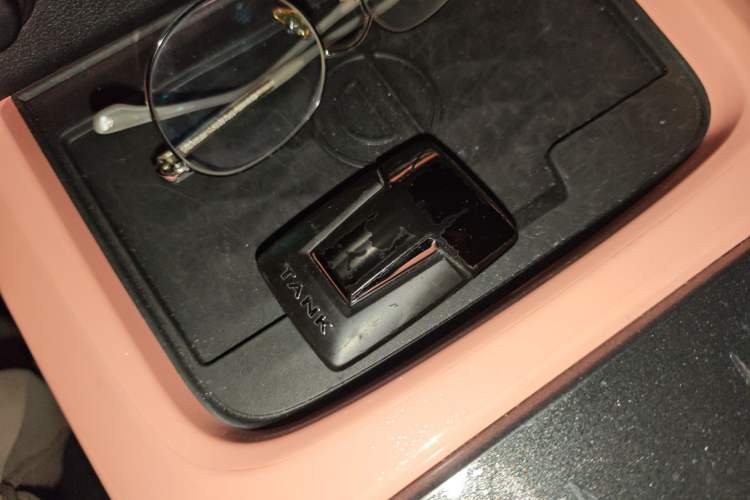 Used Tank 300 2021 City Edition 2.0T—Truly Stylish