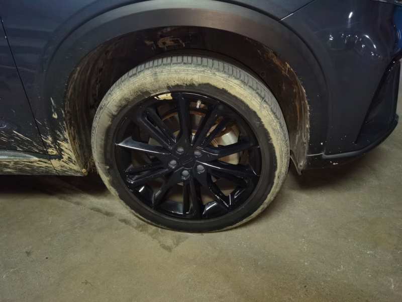 Used Geely Auto Monjaro 2020 High-Energy Edition 300T Yaoxingzhe — 17