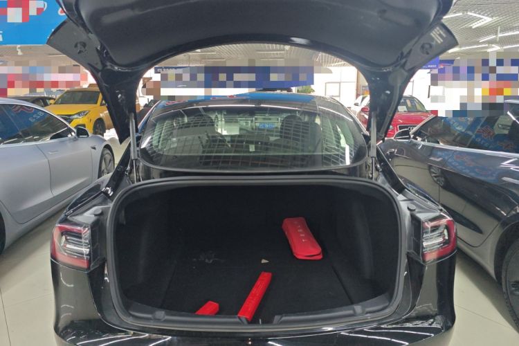 Used Tesla Model 3 2020 Revised Version Standard Range Rear-Wheel Drive – Upgraded Edition
