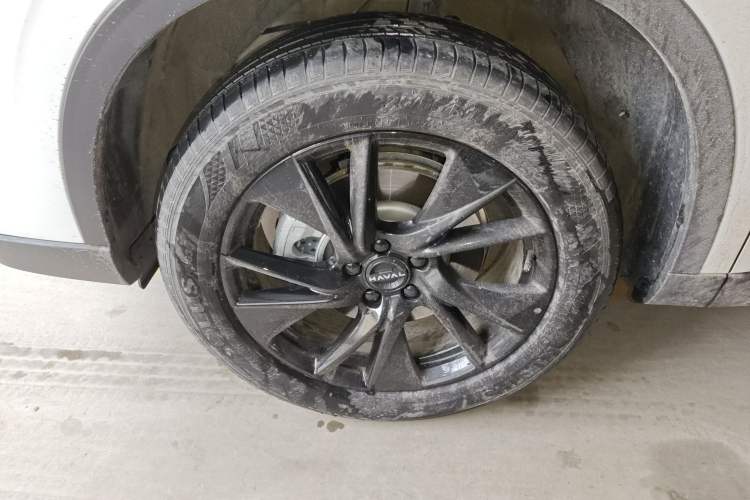 Used Haval H6 2024 1.5T Two-Wheel Drive Max