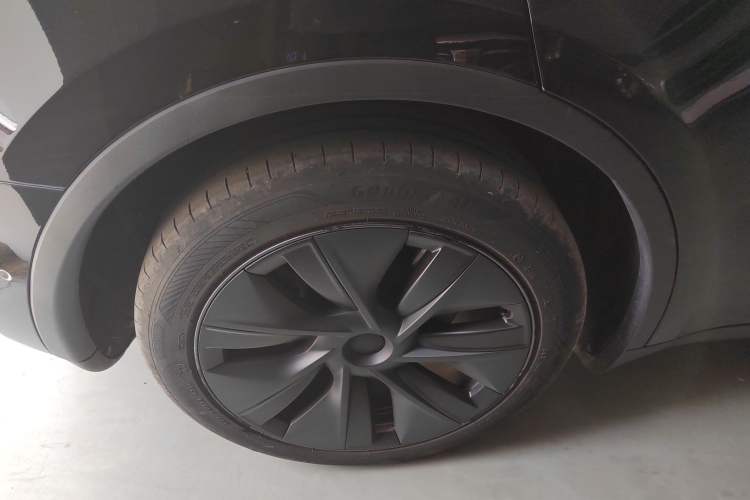 Used Tesla Model Y 2023 Rear-Wheel-Drive Version Exterior 5