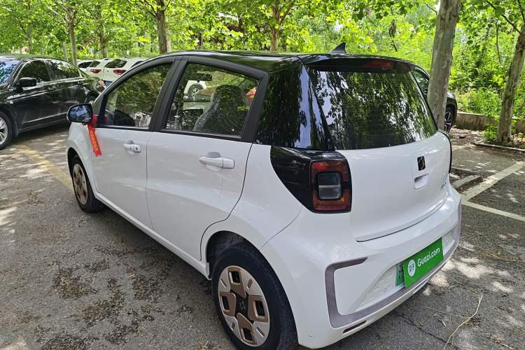 Used SOL E10X 2022 Flower Fairy Design Dandelion
