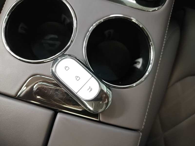 Used Leapmotor C11 2024 All-Electric 580 Luxury Edition — 8