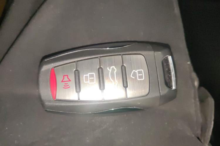 Used Haval DARGO 2024 2.0T DCT Chinese Rural Dog Edition
