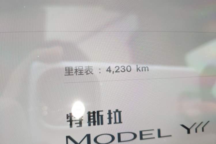 Used Tesla Model Y L 2025 Model Long-Range All-Wheel-Drive Version
