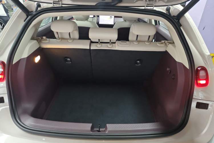 Used firefly 2025 Illuminated Edition
