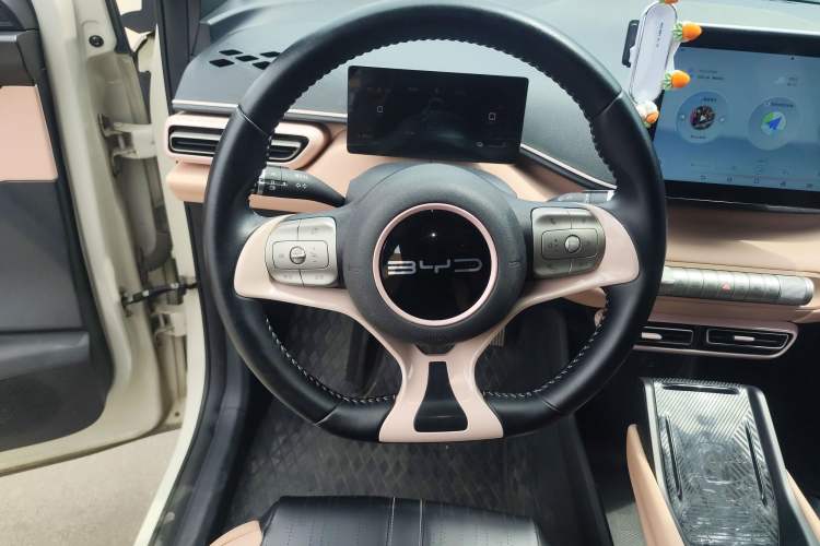 Used BYD Seagull 2023 Free Edition Steering Wheel