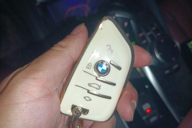 Used BMW 5 Series 2020 530Li Leading Model M Sport Package