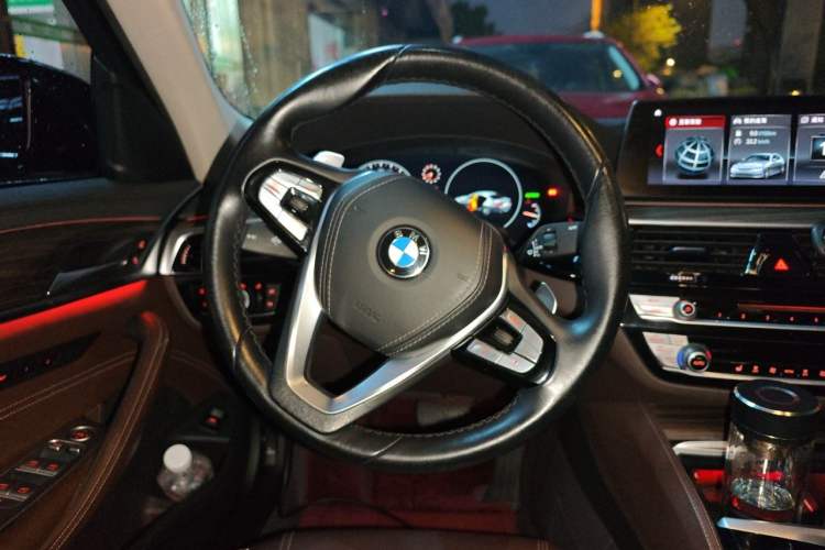Used BMW 5 Series 2019 530Li Leading Model Luxury Package Steering Wheel