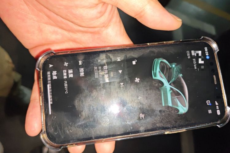 Used Tesla Model 3 2022 Rear-Wheel-Drive Version Vehicle Key