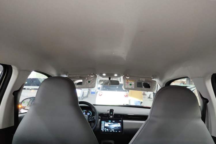 Used Leapmotor T03 2024 310 Comfort Edition Headliner