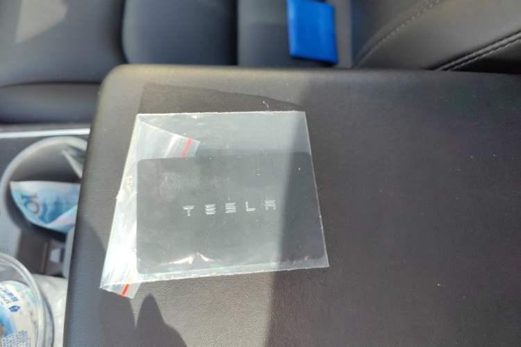 Used Tesla Model 3 2019 Long-Range All-Wheel-Drive Version
