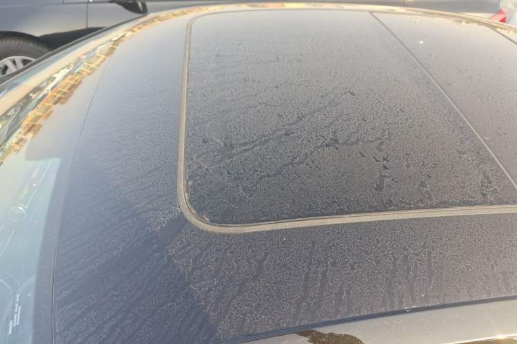 Used Volkswagen Magotan 2020 330TSI DSG Leading Model
