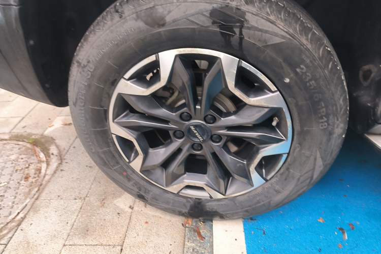 Used Haval DARGO 2022 2.0T DCT 4x4 Chinese Rural Dog Hunting Edition