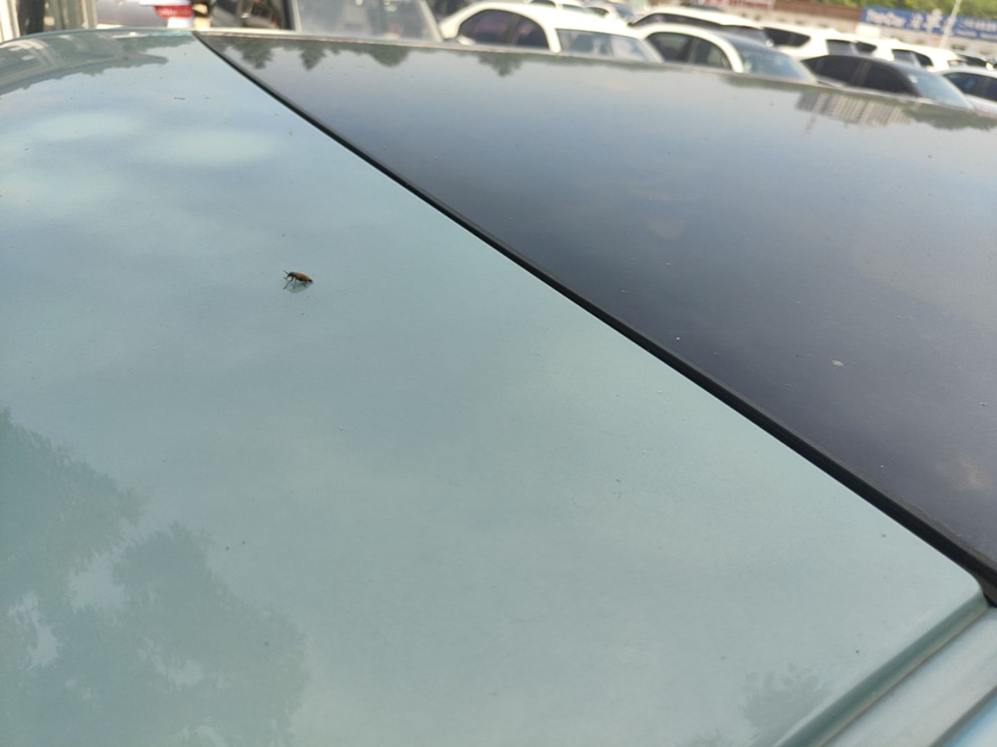 Geely Galaxy Panda 2023 Panda Mini 200km Dynamic Bear — снимка 7