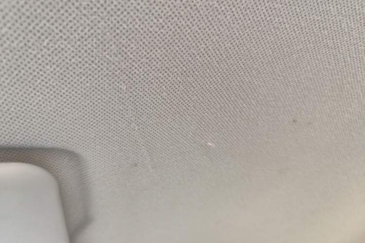 Used Wuling Hongguang MINIEV 2021 Macaron Fashion Edition Lithium-Ion Battery Headliner