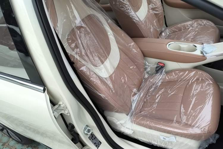 Used Wuling Bingo 2025 333 km Enjoyment Version Right Front Seat