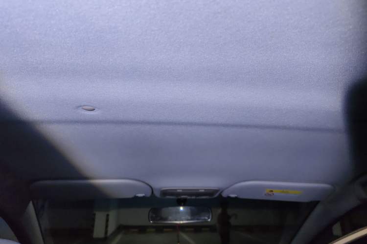 Used SOL E10X 2022 Flower Fairy Design Four-Leaf Clover
