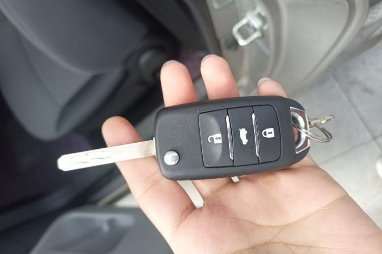 Used Qiyuan Lumin 2023 205km Xiangqin Version
