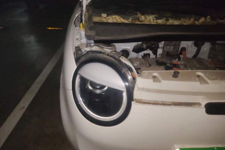 Used Qiyuan Lumin 2022 155 km – Refreshingly Sweet Edition