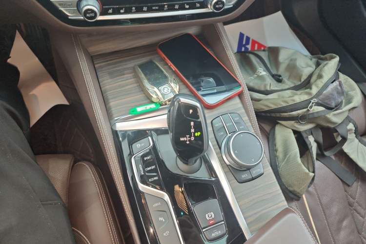 Used BMW 5 Series New Energy 2020 530Le Pioneer Edition