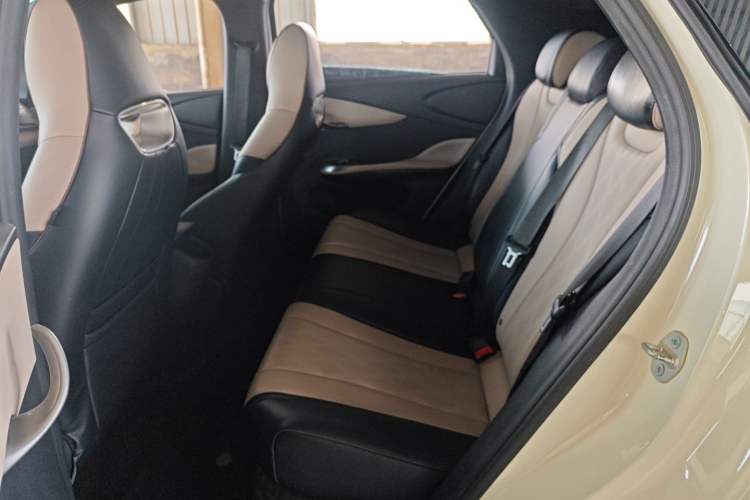 Used BYD Dolphin 2024 Honor Edition 420km Freedom Version Left Rear Seat