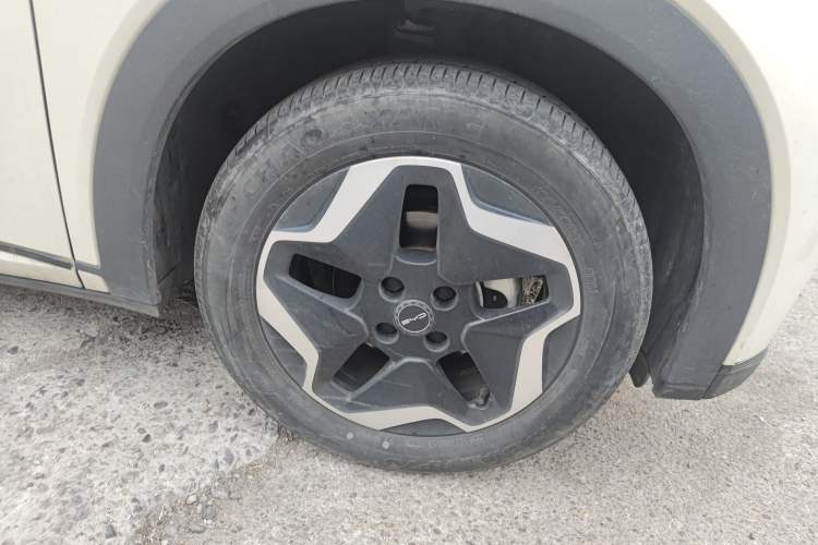 Used BYD Dolphin 2021 405 km Free Version